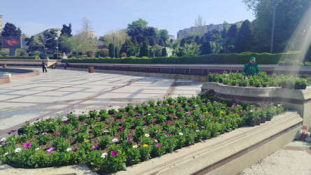 Xətai rayonu ərazisində abadlıq və yaşıllaşdırma işləri davam etdirilir