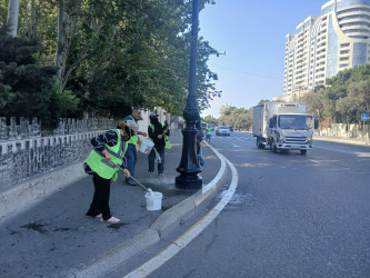 15 avqust 2026-cı il tarixində Xətai rayonunda təmizlik və abadlıq iməciliyi keçirilib