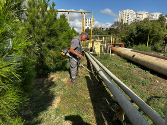19 sentyabr 2026-cı il tarixində Xətai rayonunda təmizlik və abadlıq iməciliyi keçirilib.