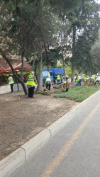05.09.2026-cı il tarixində Xətai rayonunda təmizlik və abadlıq iməciliyi keçirilib