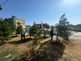 29 avqust 2026-cı il tarixində Xətai rayonunda təmizlik və abadlıq iməciliyi keçirilib