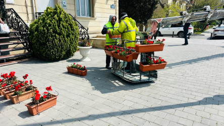 Xətai rayonu ərazisində abadlıq və yaşıllaşdırma işləri davam etdirilir