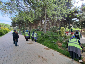 Xətai rayonunda növbəti yaşıllaşdırma tədbiri keçirilib