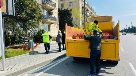 Xətai rayonu ərazisində abadlıq və yaşıllaşdırma işləri davam etdirilir